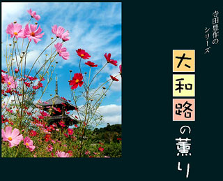 Title details for Yamato-ji Flavor by Toyosaku Terada - Available